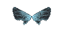 Wings of Elf