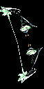 Albatross Bow
