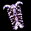 Skull Shield